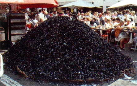 moules.JPG (94961 octets)